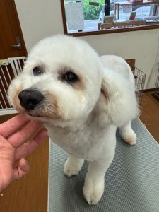 IMG20240608181916