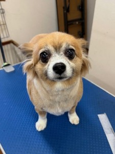 IMG20240608181916