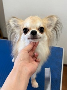IMG20240608181916