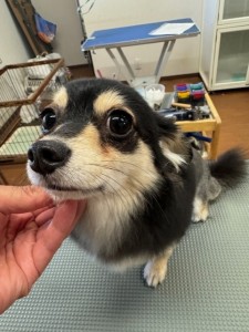 IMG20240608181916