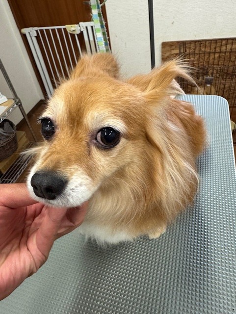 IMG20240608181916