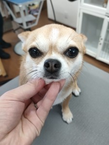 IMG20240608181916