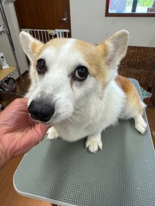 IMG20240608181916