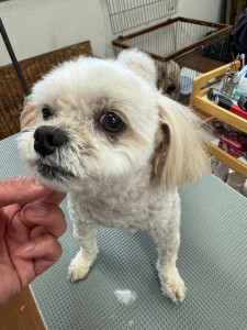 IMG20240608181916