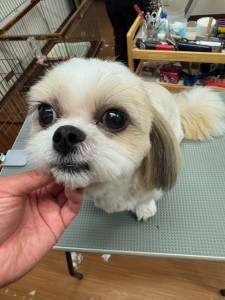 IMG20240816181814