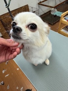 IMG20240816181814