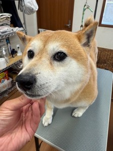thumbnail_image0