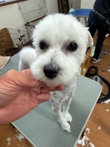 thumbnail_image2