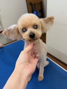 thumbnail_image2
