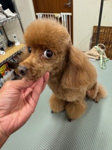 thumbnail_image2