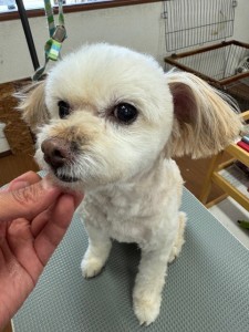 thumbnail_image2