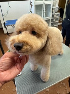 thumbnail_image4