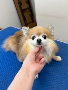 thumbnail_image5 (1)