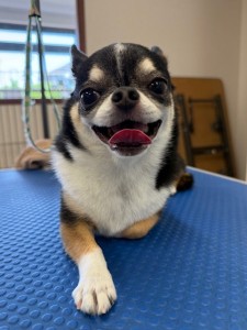 IMG20240608143848