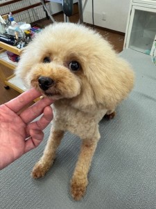 IMG20240608171310
