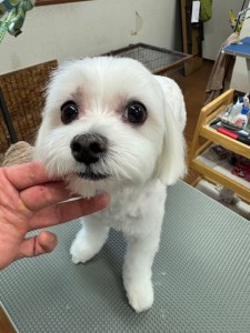 IMG20240608171310