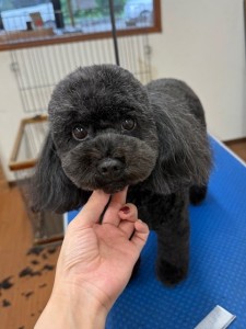IMG20240608171310