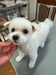 IMG20240608171310