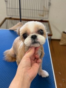 IMG20240608171310