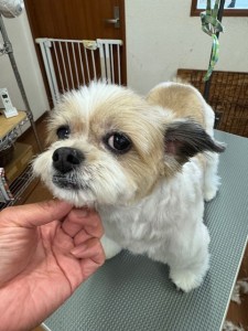 IMG20240608171310
