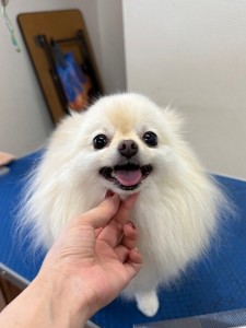 IMG20240608181916