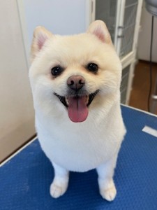 IMG20240608181916