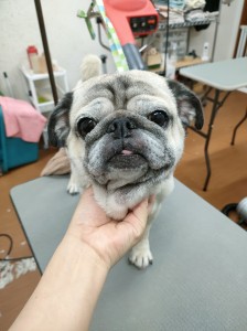 IMG20240608181916