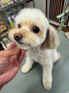 IMG20240608181916