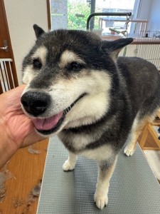 IMG20240608181916