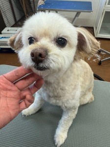 IMG20240608181916