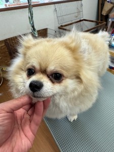 IMG20240816181814