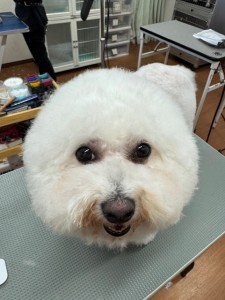 IMG20240816181814