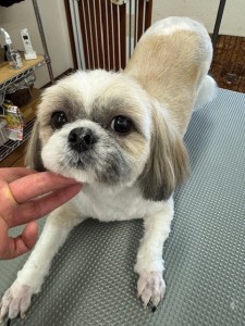 IMG20240816181814