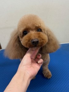 IMG20240816181814