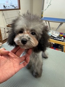 thumbnail_image2