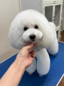 thumbnail_image2