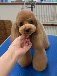 thumbnail_image2