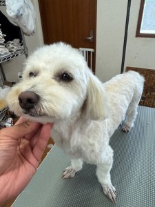 thumbnail_image2