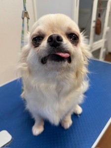 thumbnail_image2