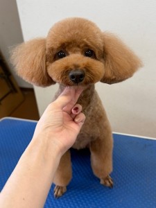 thumbnail_image4