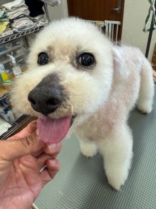 thumbnail_image4