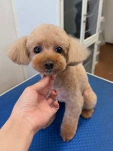 thumbnail_image5