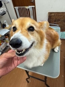 thumbnail_image5