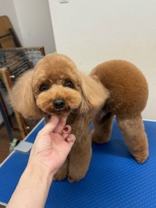 thumbnail_image7 (1)