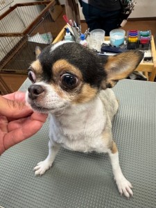 IMG20240608143848