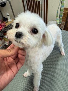 IMG20240608171310