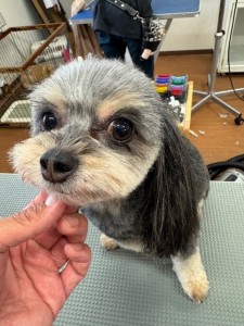 IMG20240608171310