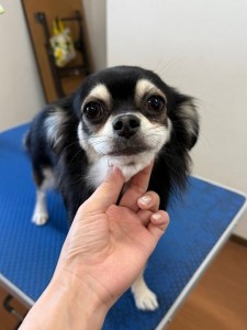 IMG20240608171310