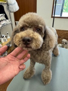 IMG20240608171310