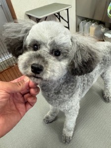 IMG20240608171310